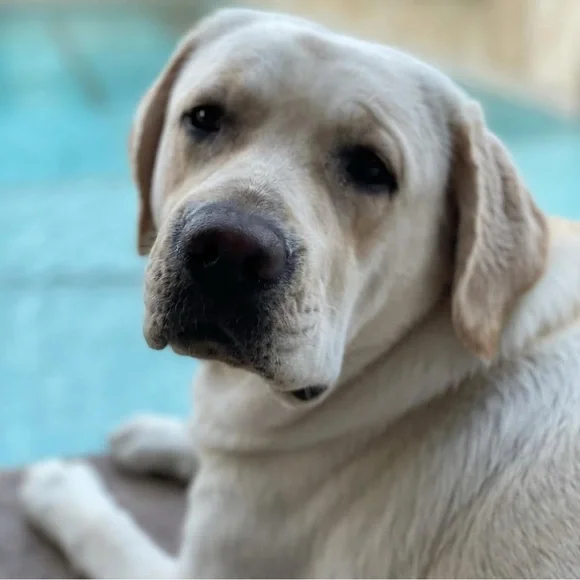 Quick list item - Picture 5 of 7